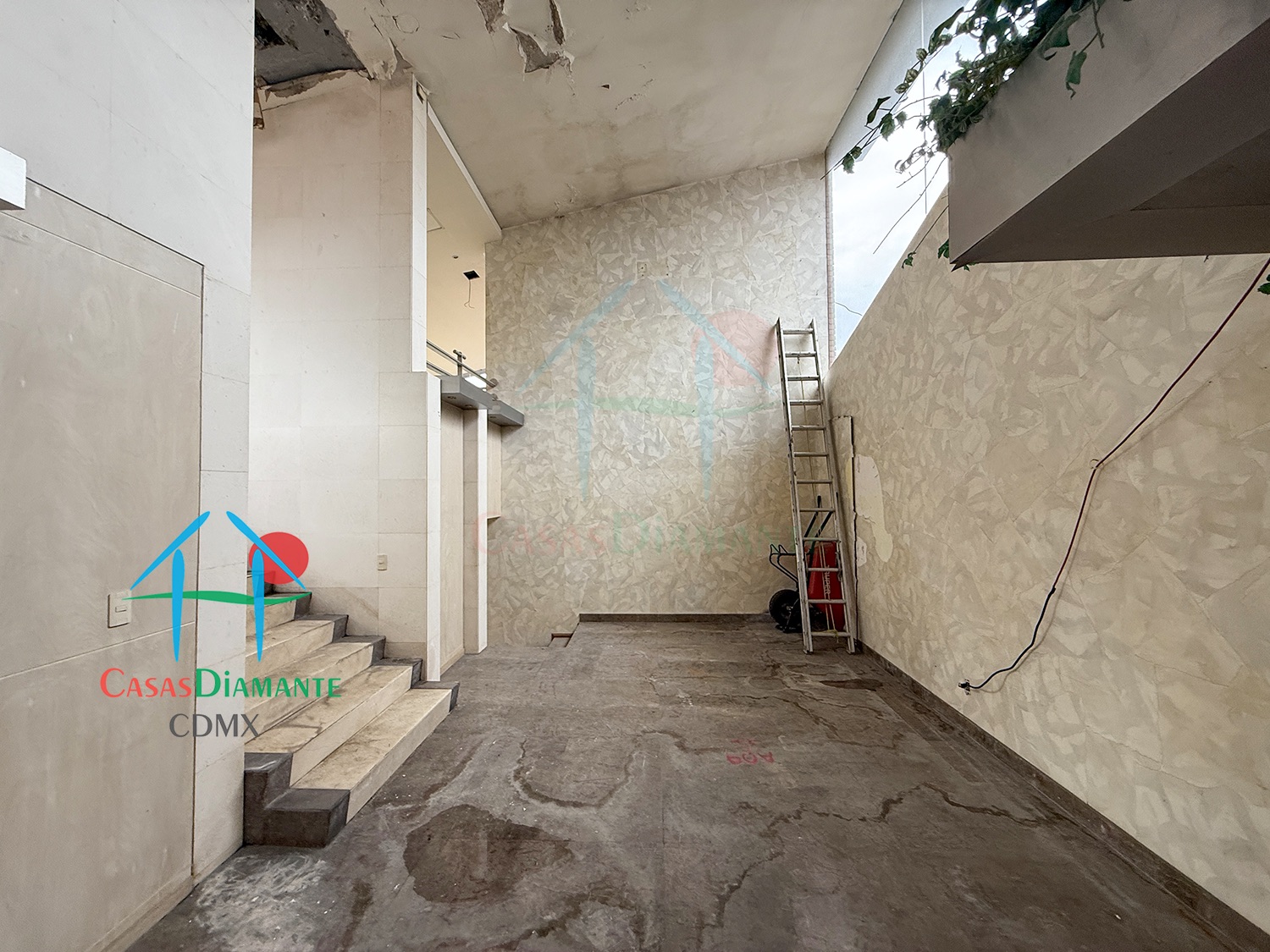 Bosques de las Lomas Terreno Jaguar BBC - Propiedad a demoler 21